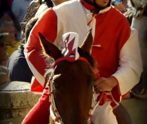Il fantino “Grandine” di Santu Lussurgiu protagonista al Palio di Siena