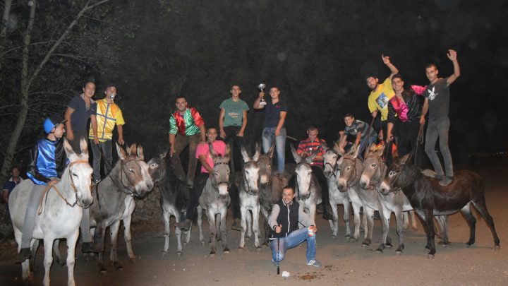 La 9^ edizione del Palio degli Asinelli di S. Ignazio a Norbello vinta da Piermattia Sedda su “Aluba”