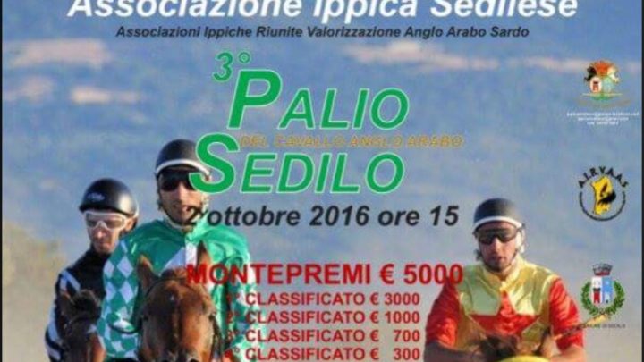Sedilo si conferma “capitale” del cavallo. Domenica 2 Ottobre gran Palio dell’anglo arabo sardo
