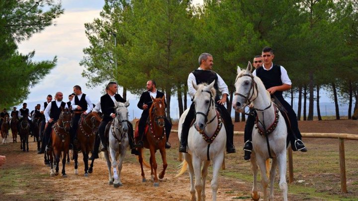 Pariglie da “brivido” a Norbello per la nona edizione della rassegna regionale