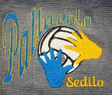 Dal 5 ottobre scuola di Pallavolo a Sedilo per Under 13/14/16