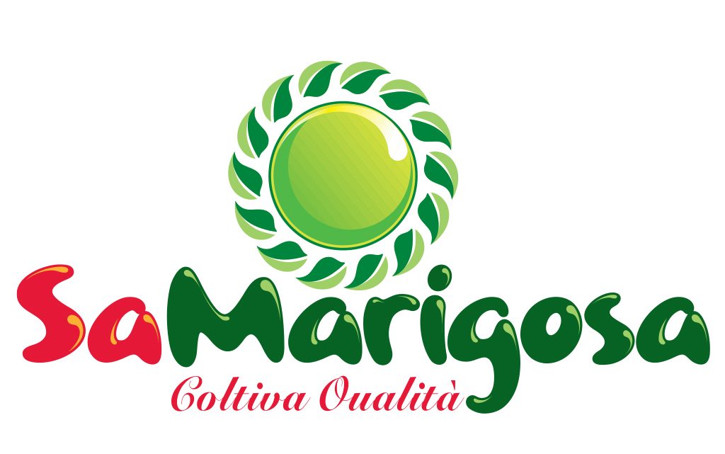 Aziende e Sport. ORGANIZZAZIONE PRODUTTORI SA MARIGOSA