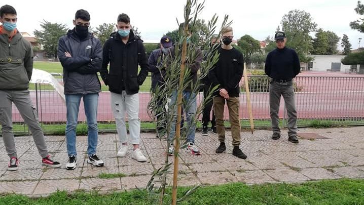 FOTO NOTIZIA/ Un ulivo piantato al campo Coni dall’Atletica Oristano per ricordare Riccardo Ortu