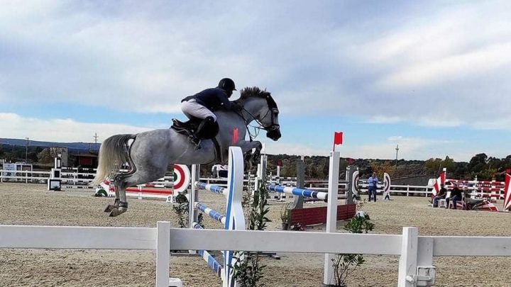 SARDEGNA JUMPING TOUR/  Ottimo bilancio per la prima settimana del  concorso A6 stelle di salto ostacoli a Tanca Regia