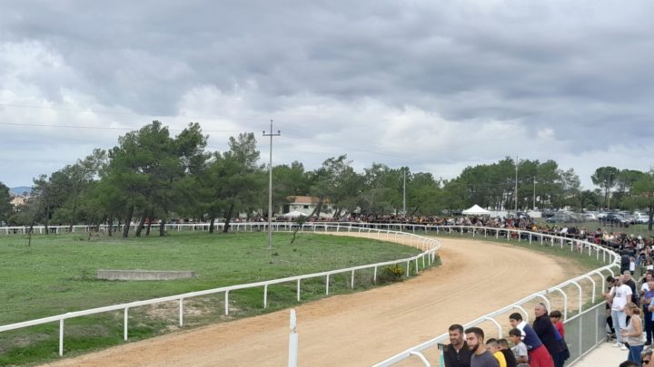 5° PALIO DEL GUILCIER/ Gran pubblico e spettacolo a Sedilo: vince il Comune di Abbasanta si aggiudica con Francesco Caria